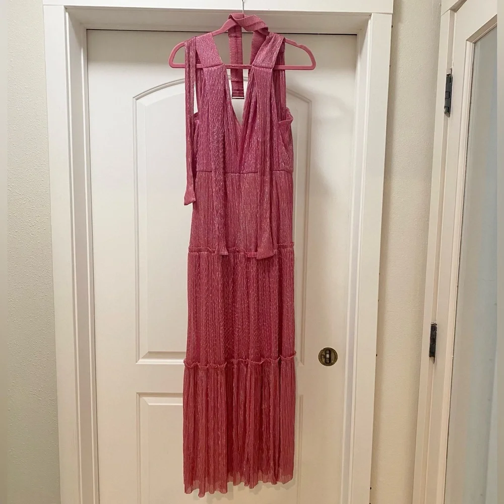 Sabina Musayev Pink Maxi Dress - Picture 5 of 5